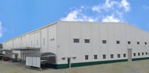 Proposed Logistic Warehouse Phase 1, Manalac Ave. Bagong Tanyag, Taguig City